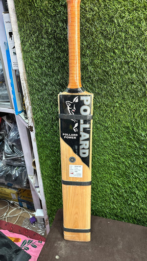 Cricket Bat