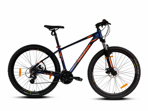 Hybrid Bicycle