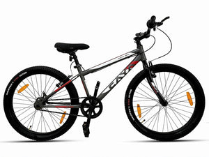 Mountain Bicycle
