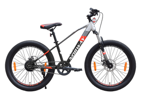 Mountain Bicycle