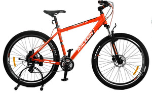 Mountain Bicycle