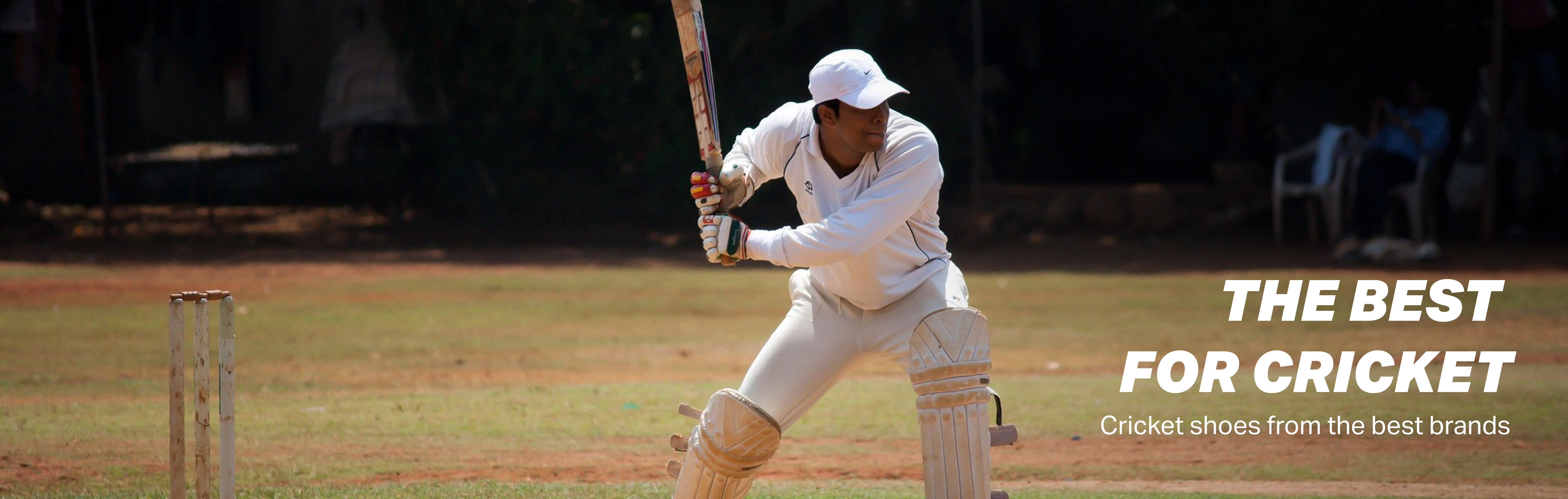Cricket