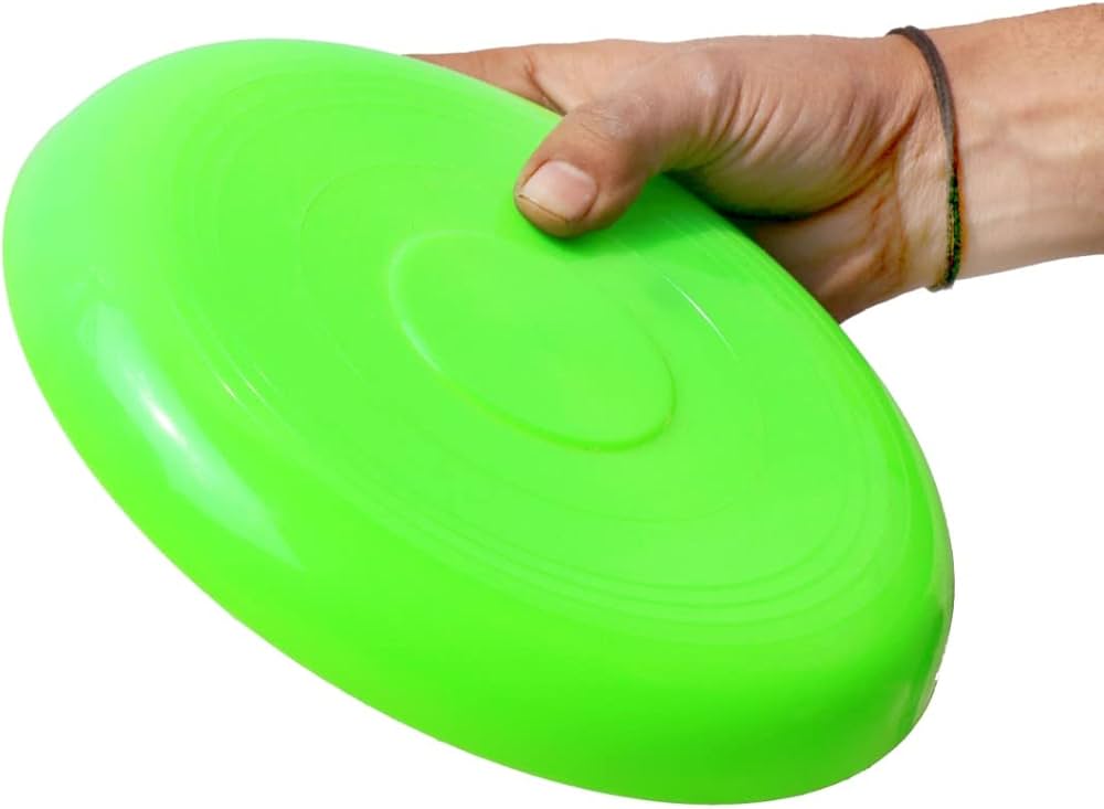 Airavat SR Large Frisbee-2