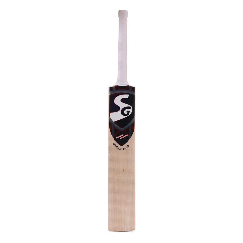Lightweight cricket bat for practice and match sessions