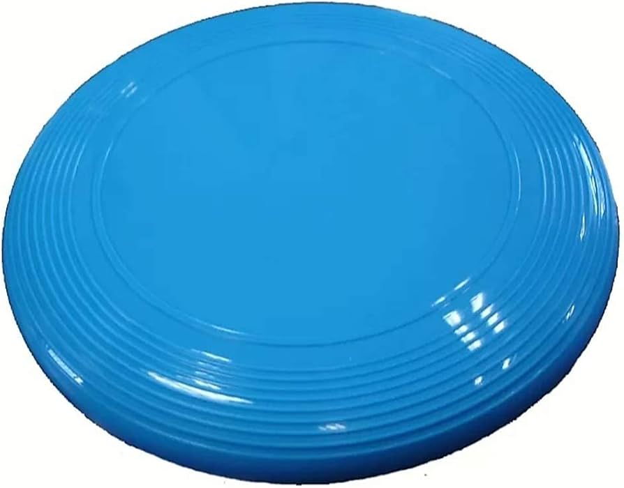 Airavat SR Large Frisbee-3