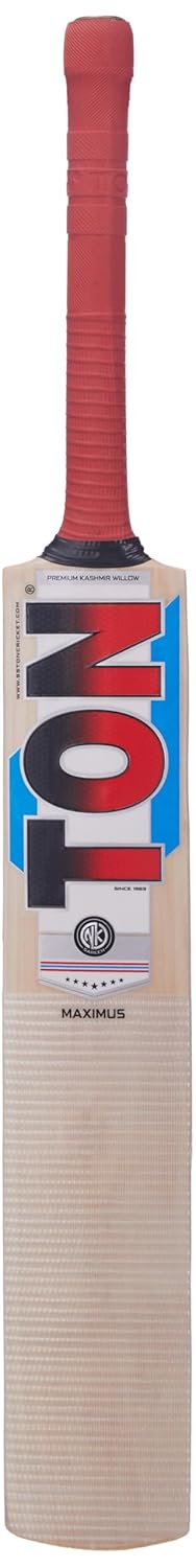 SS TON Maximus Size 4 Kashmir Willow Cricket Bat for Junior Players