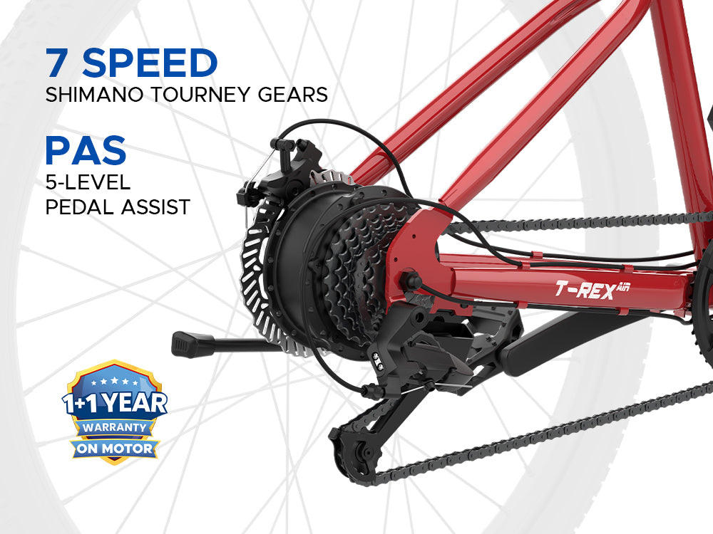 EMOTORAD Trex+ Air 29 Electric Bike-4