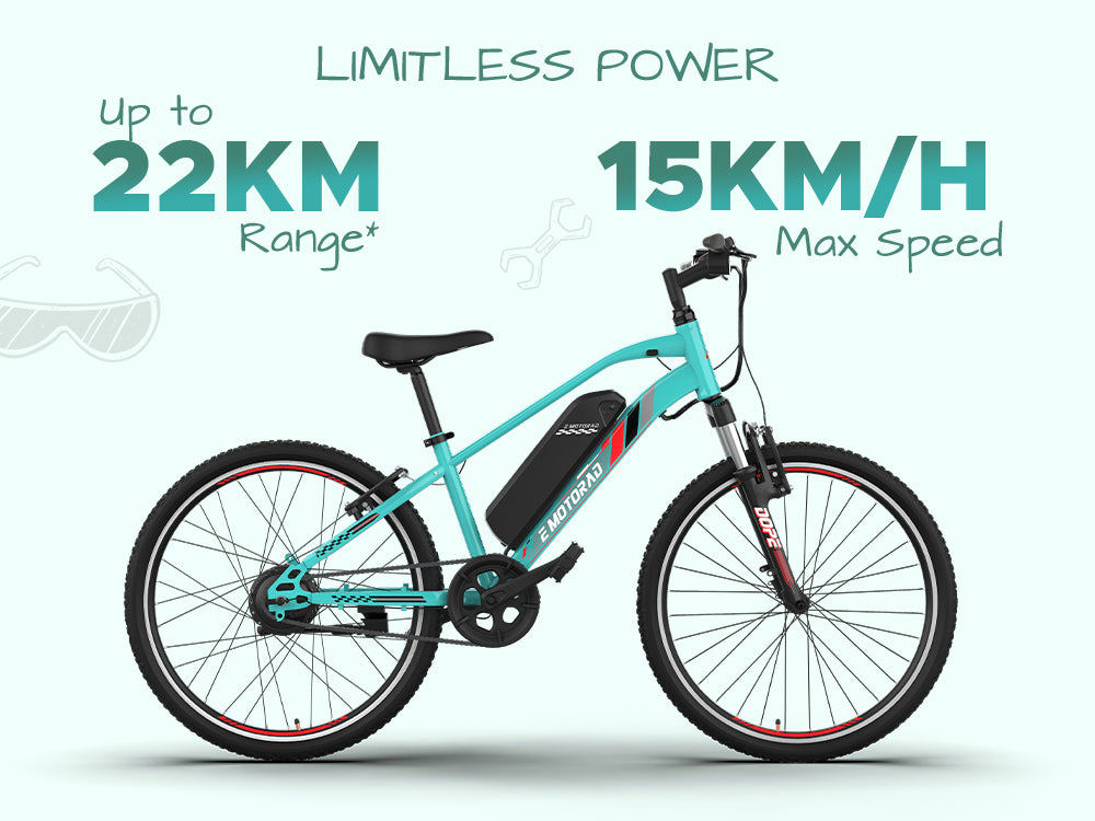 EMOTORAD Dope 24 Electric Bike-3