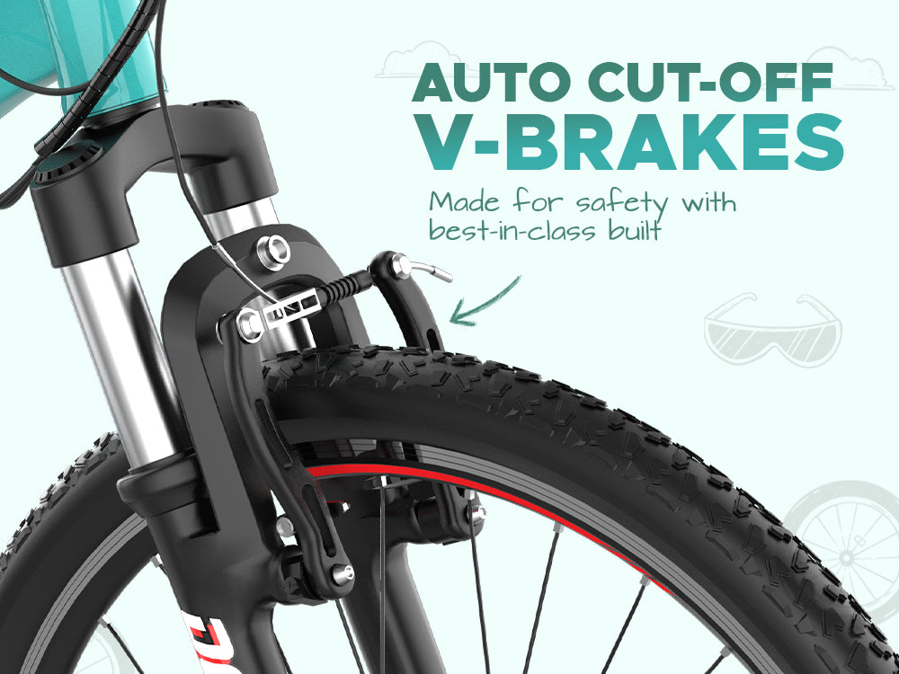 EMOTORAD Dope 24 Electric Bike-6