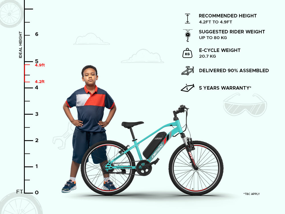 EMOTORAD Dope 24 Electric Bike