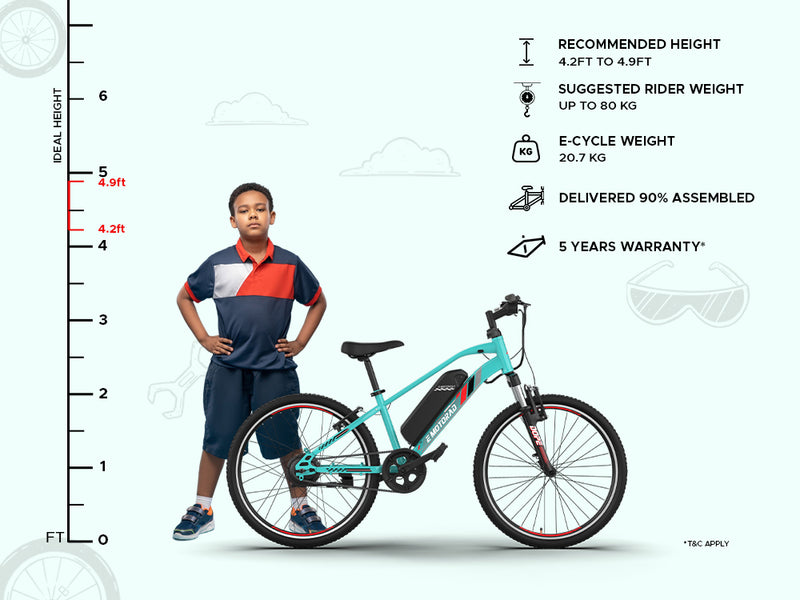 EMOTORAD Dope 24 Electric Bike-2