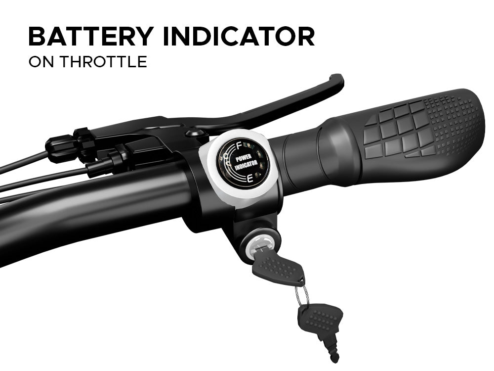 EMOTORAD X-Factor X1 Electric Bike-6