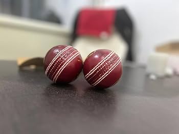 BD True Test 5oz Red Leather Cricket Ball for Matches
