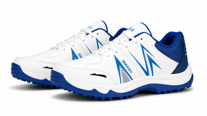 Cricket Shoes
