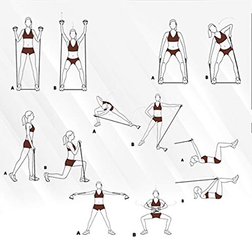 Cougar Resistance Tube-4