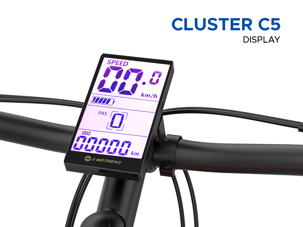 EMOTORAD Trex+ Air 29 Electric Bike