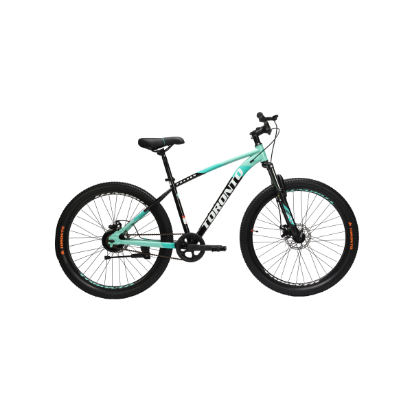 Toronto Fraser 24 MS Mountain Bike for Daily & Trail Rides-2