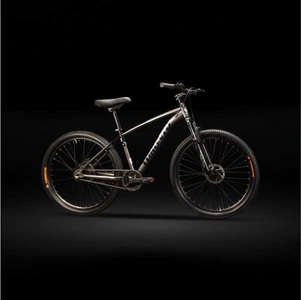 Toronto Thelon 29 SS Grey/Black Bike-3