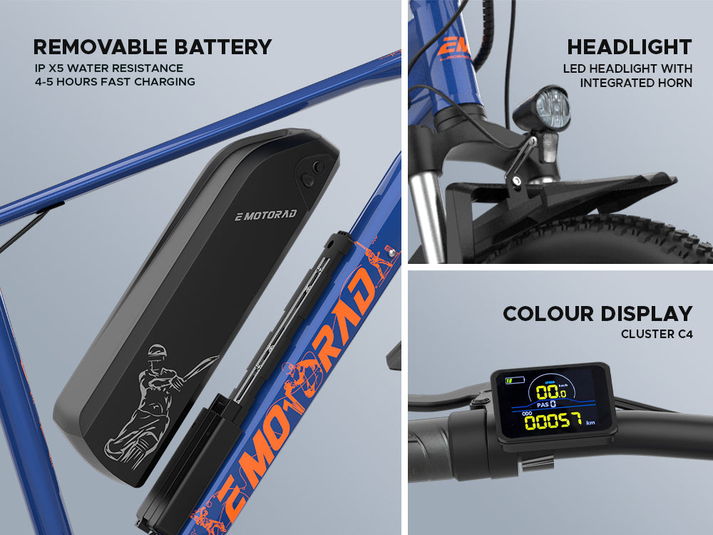 EMOTORAD Legend 07 Signature Edition Electric Bike-3