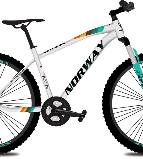 Norway Skyforce 27.5 Single Speed Bike