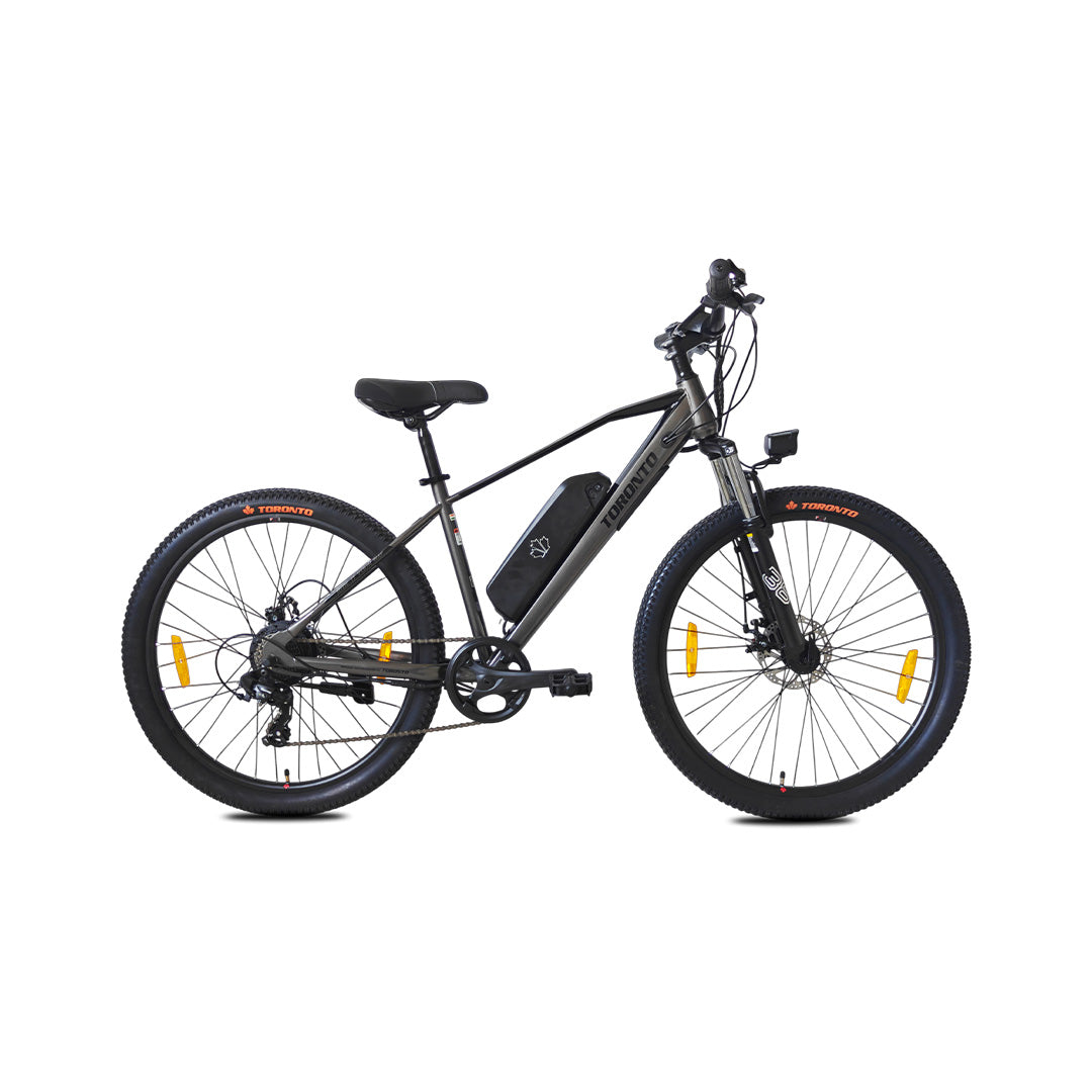 Toronto Torque 29 Electric Bike MS-1