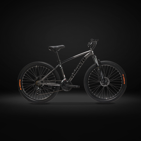 Toronto Thelon 29 SS Grey/Black Bike