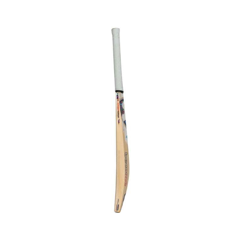 SG cricket bat built for intermediate and advanced players