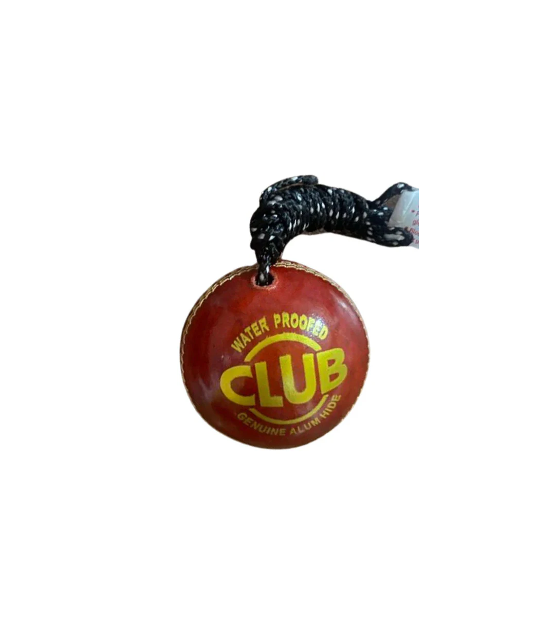 Apex Reliable Hanging Cricket Ball for Batting Practice & Training