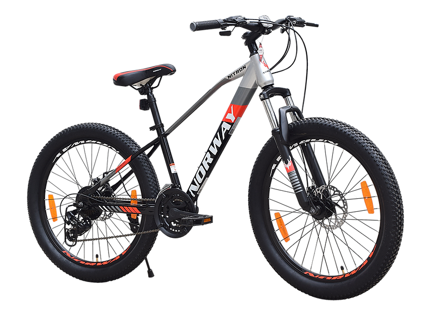 Norway Nitron 29" Multi Speed Grey Bike