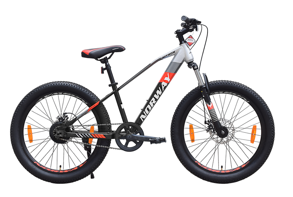 Norway Nitron 29" Multi Speed Grey Bike
