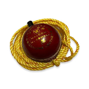 Cricket Ball