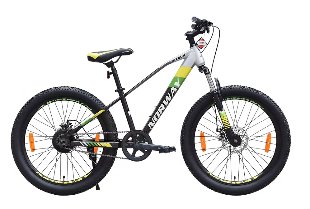 Norway Nitron 29 SS Blue Mountain Bike for Daily & Trail Rides-1