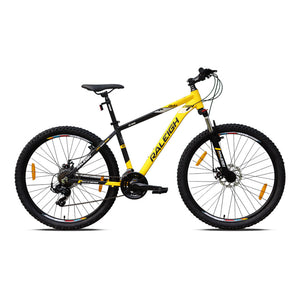 Hybrid Bicycle