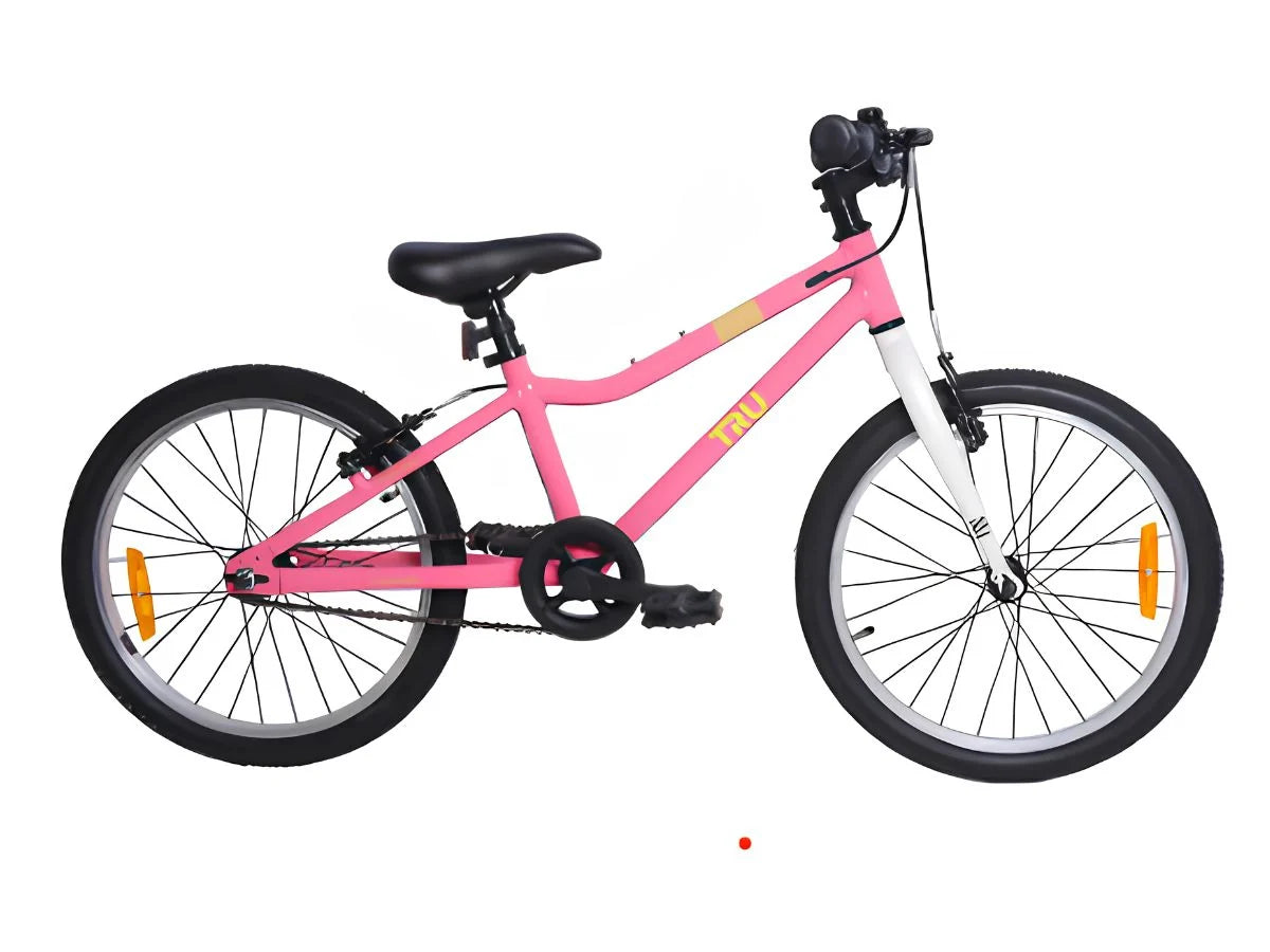 Tru Joy 20 SS Kids Bicycle for Safe & Everyday Riding-2